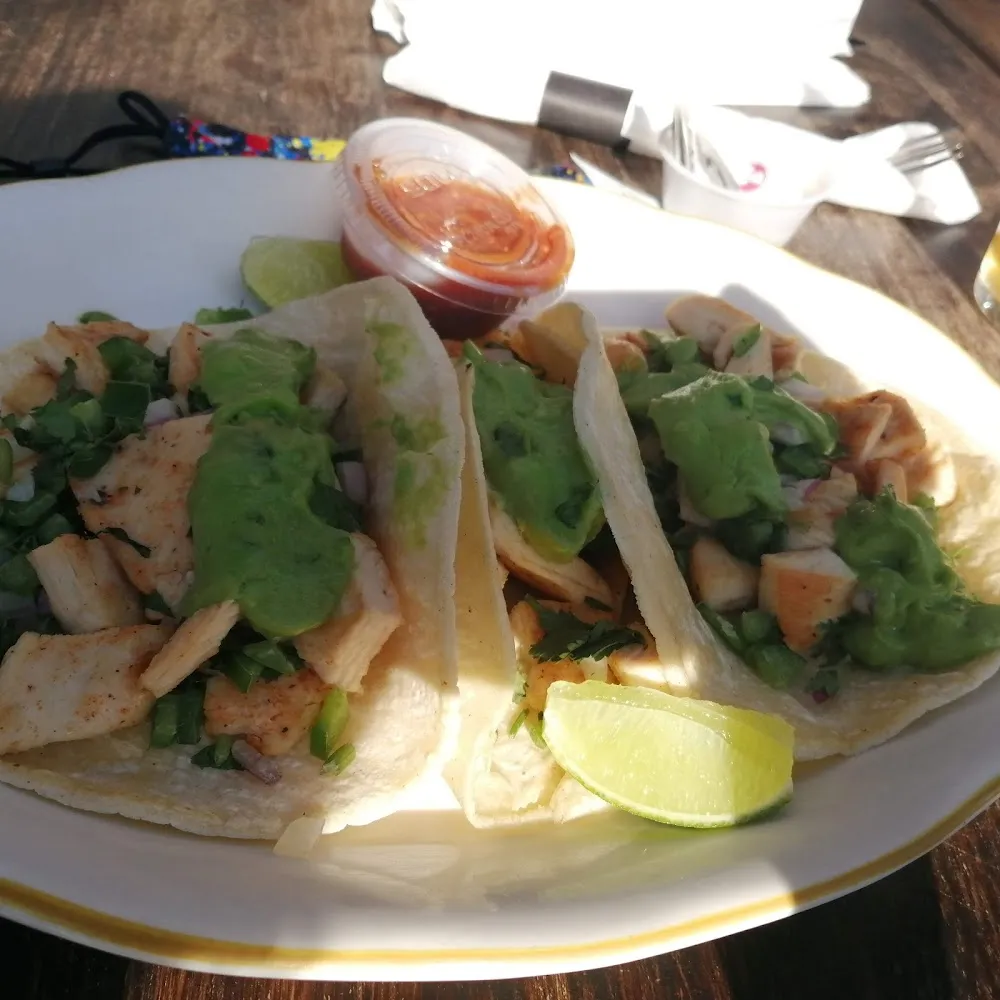 Chicken or Pork Tacos